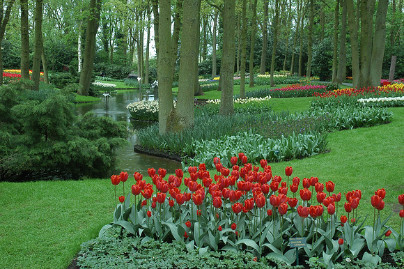 Keukenhof Gardens in Holland