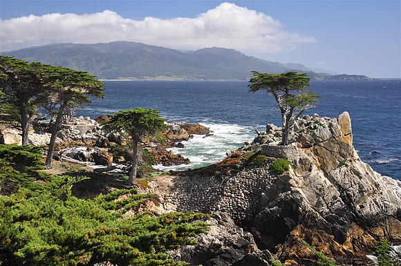 The Lone Cyprus in Monterey, California