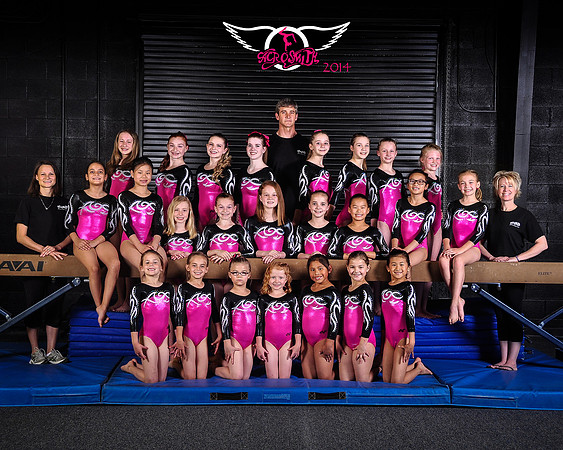 2014 Acrosmith Gymnastics Team